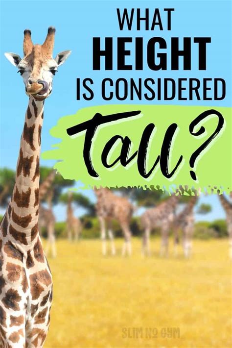 What Height Is Considered Tall A Helpful Guide Slim No Gym