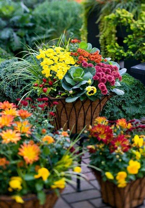 Outdoor Fall Decorating With Mums Fall Container Gardens Fall