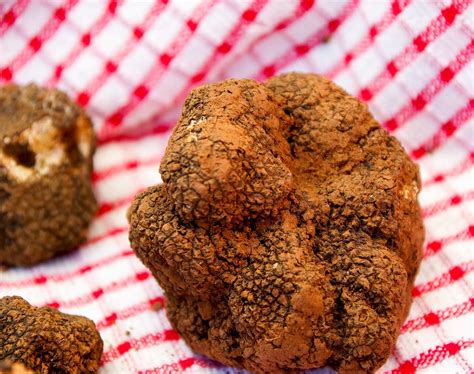 Black Truffles The Best Places In The World To Enjoy This Delicacy