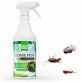 In Home Pest Control Pictures