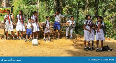 Waiting For The School Bus In Sri Lanka Editorial Photo Image Of