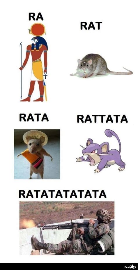 Bestypl Ratatata