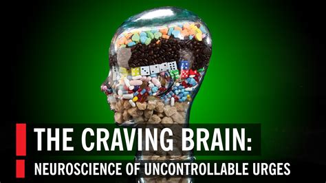 The Craving Brain What The Mind Hungers For World Science Festival