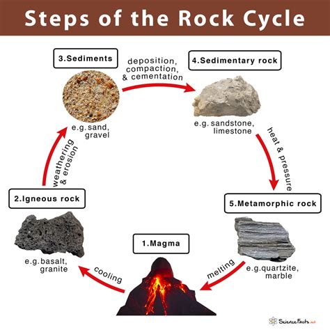 Rock Cycle Definition Steps Importance Diagram