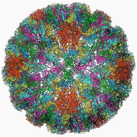 Sv40 Virus Capsid Photograph by Laguna Design/science Photo Library