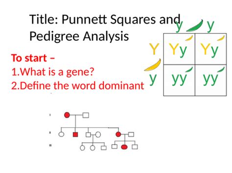 punnett squares and pedigree analysis teaching resources