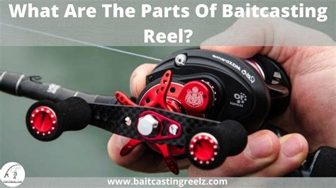 Parts Of Baitcasting Reels Explained For Beginners