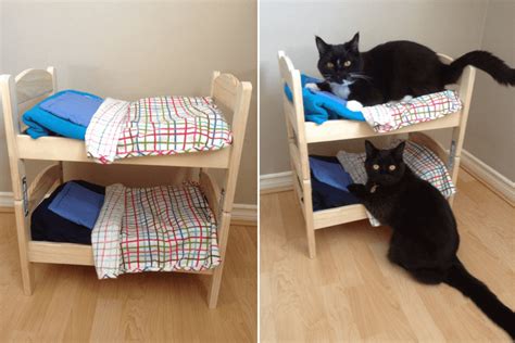 Turn Ikea Doll Beds Into An Adorable Cat Bunk Bed Ikea Hackers