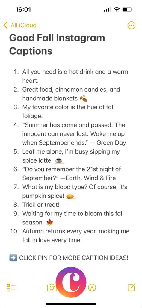 119 Best Fall Instagram Captions Cute Funny Autumn Captions Fall