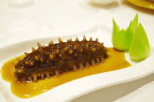 Sea Cucumber And Kidney Health Ping Ming Health