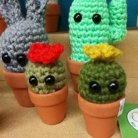 When the beaver tail cactus blooms, you will begin to notice the subtle variations in the size and shape of o. Untitled (With images) | Cactus, Planter pots
