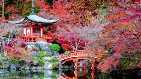 Beautiful Places In Japan Visit Kyoto Beautiful Places In The World