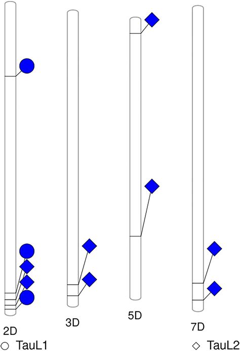 Chromosome Phenogram Plots Of Significant Lhd Snp Associations Detected Download Scientific