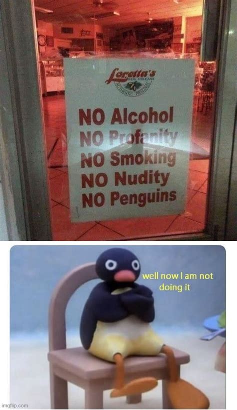 No Penguins Imgflip
