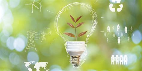 He failed to order an environmental. SMEs cannot afford to ignore their environmental impacts ...