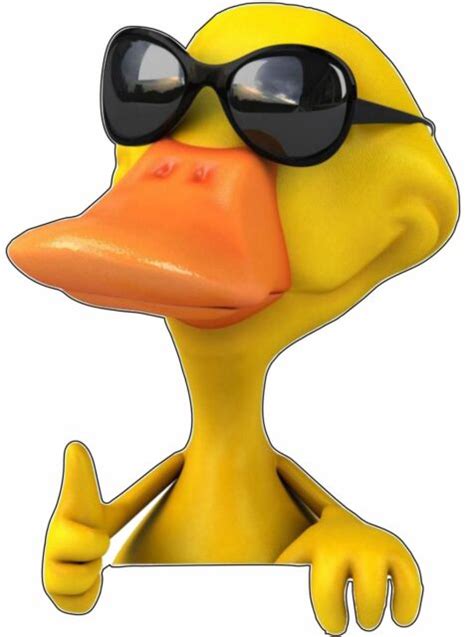 Cool Duck 3d Sunglasses Thumbs Up Cartoon Bumper Sticker Vinyl Decal Ebay