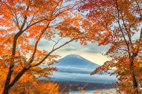 Premium Photo Mt Fuji Japan With Fall Foliage