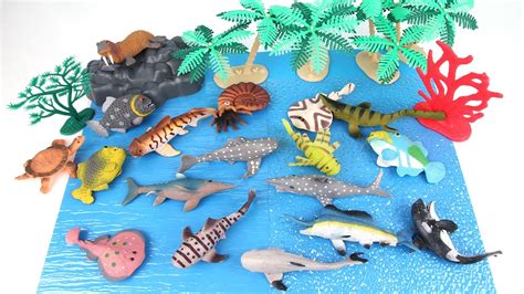 Learn Sea Animals Names For Children Learn Sea Animals Water Animals