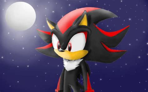 Blush Mode Ill Protect Youalways Shadow The Hedgehog X Reader