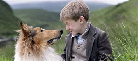 Cine Lassie Un Perro Para Salvar Las Cuentas De Dreamworks Noticias De Cine