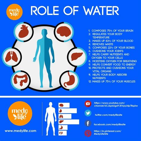 The Amazing Benefits Of Drinking Water Medy Life Benefits Of Drinking Water Nutrient Health