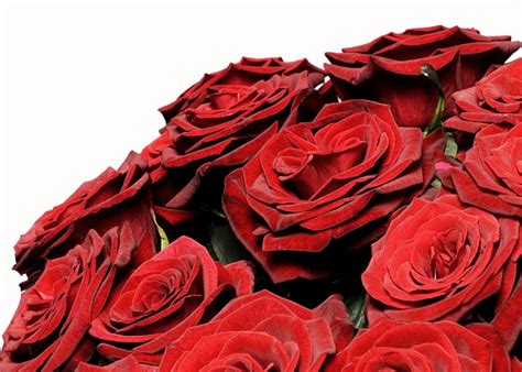 Regala un mazzo 5 rose rosse e fiori di stagione per qualcuno che ami, perché, con le rose rosse sarai sicuro si fare centro nel loro cuore! Mazzo di rose rosse - Pasqua | Consegna fiori online a domicilio | Vendita fiori piante rose ...