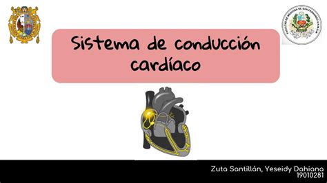 Sistema De Conducción Cardíaca Yeseidy Zuta Santillán Udocz