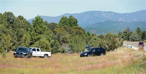 Piñon Seed Seekers Enjoying A Plentiful Harvest This Year Local News