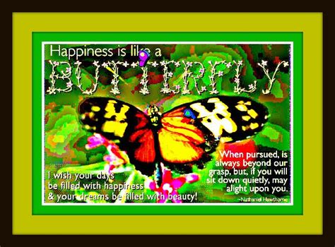 Happiness Is Like A Butterfly Butterfly Inspiration Butterfly