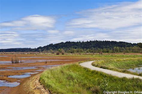 Nisqually River Delta Nisqually National Wildlife Refuge Douglas