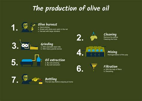 How Olive Oil Is Made The Hole Prozess On Our Blog