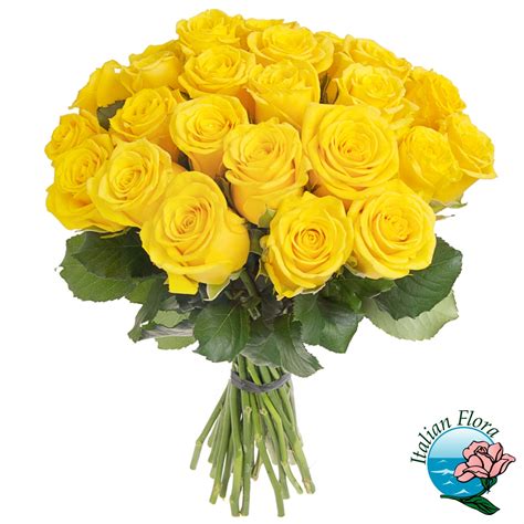 Fiori, compleanno, anniversario, rosa, tulipano, papavero, narciso, ellajayneartcards, ellajayneart, mamma articolo acquistato: 24 Rose gialle