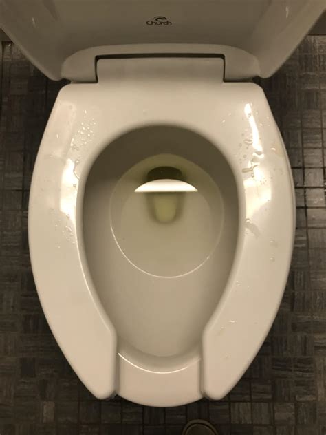 People Who Pee On Public Toilet Seats R Mildlyinfuriating