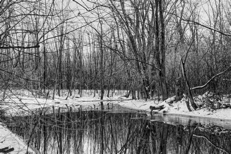 A River Passing Through A Wooded Area After The First Snow Covering The