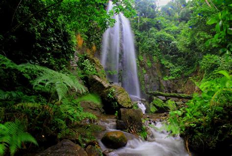 100000 Best Amazon Rainforest Nature Waterfall Images Photos · 100