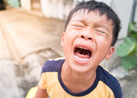 Relentless Tantrums Dealing With A Strong Willed Child Hospitality