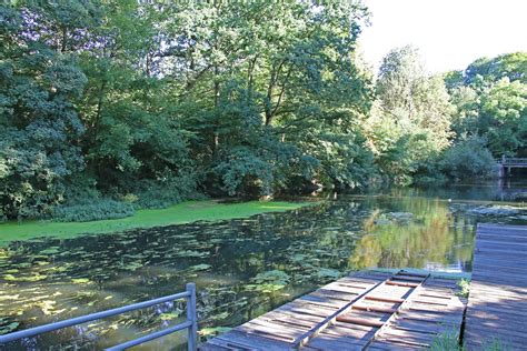 Wohnungen mieten in hamburg poppenbüttel. Porträt über den Hamburger Stadtteil Poppenbüttel ...