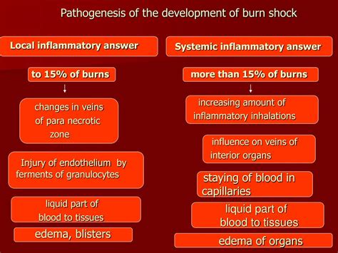 Ppt Burn Trauma Pathogenesis Diagnostic Criteria Clinic