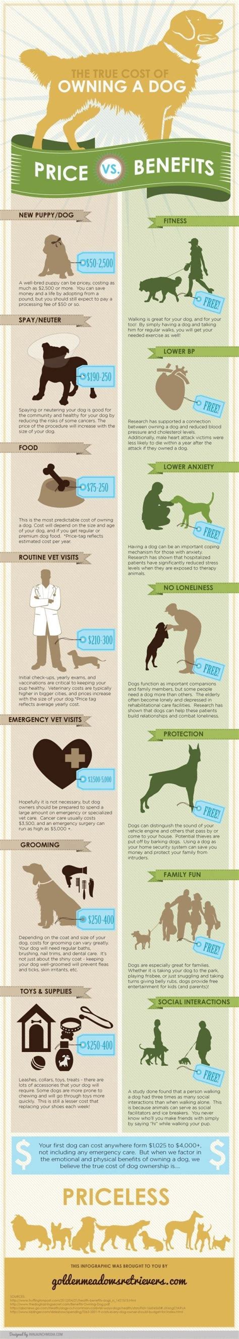52 Best Infographic Animation Dog Breeds Images On Pinterest Dog
