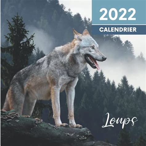 Calendrier Loups Animaux Sauvages Dans La Nature Agenda Mural