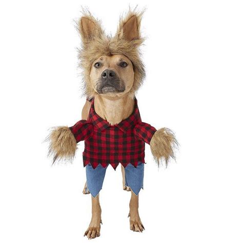 Buy Frisco Front Walking Werewolf Dog And Cat Costume X Large At Chewy