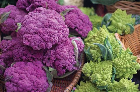 Growing Broccoli Tips And Considerations Grit
