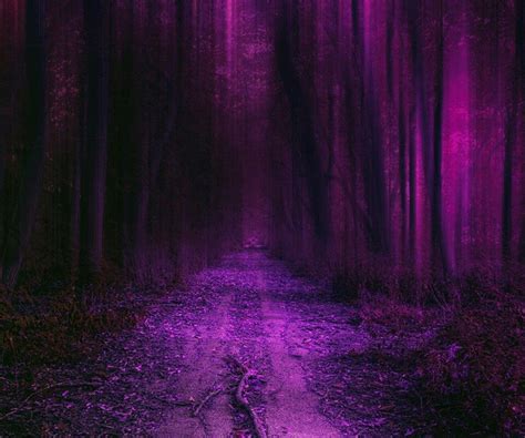 Purple Forest Forest Wallpaper Creepy Pictures Forest