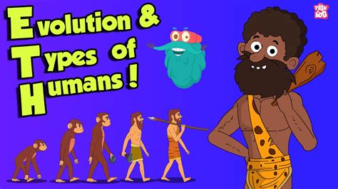 What Is Evolution And Types Of Humans Dr Binocs Show Peekaboo Kidz