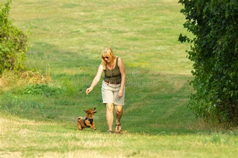 Mujer Y Su Perro Caminando Solos En Un Gran Prado Actividad De Educación De Perros Y Concepto