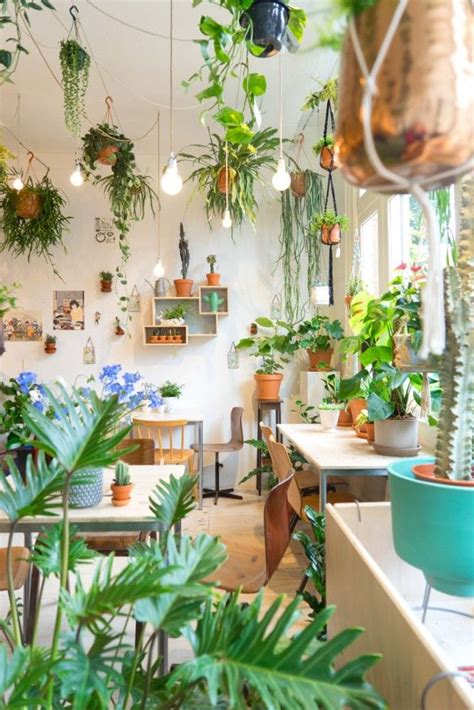 Urban Jungle Turbulences Déco Houseplants Indoor Room With Plants