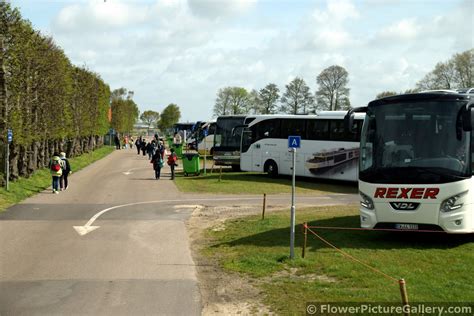 Tons Of Tour Buses Keukenhof Parking Lot Hi Res 1440p Qhd
