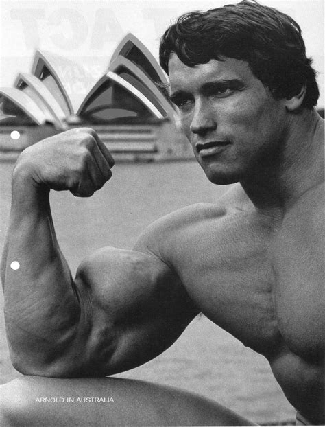 Arnold Schwarzenegger Bodybuilding Bodybuilder Barbell Dumbbells Gyms