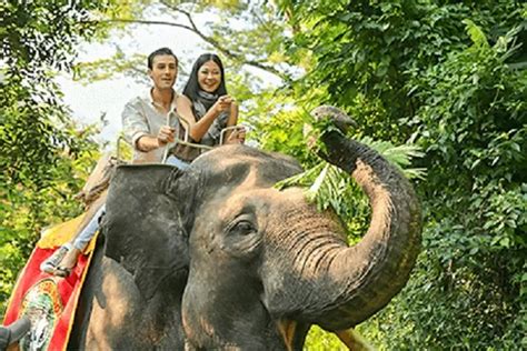Nikmati Keseruan Wisata Taman Safari Bogor Dari Atas Gajah Yuk Ajak