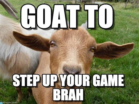 Extremely Entertaining Goat Memes Sayingimages Goats Goat